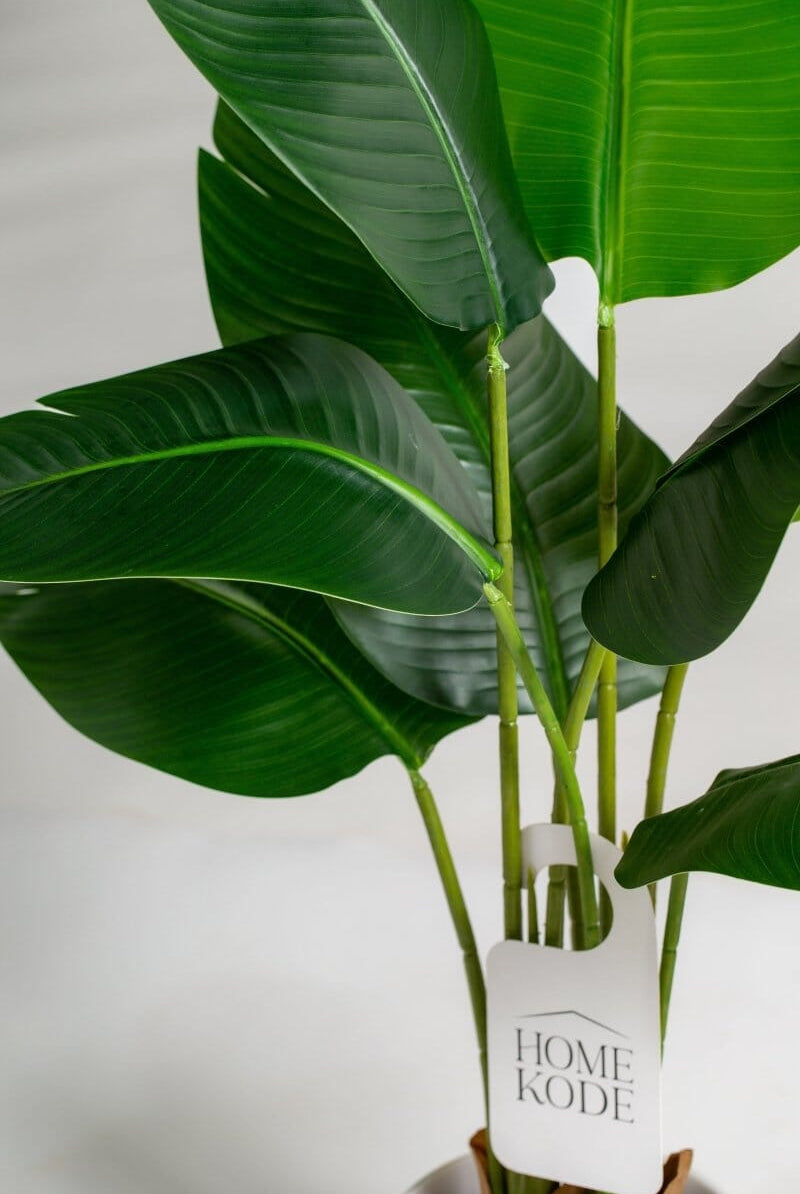 Strelitzia Nicolaiificial Plant (Pot not included) Homekode
