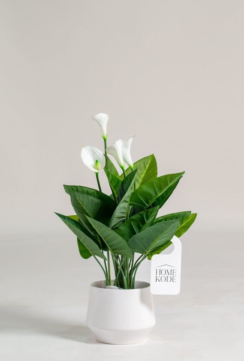 Arum Lilyificial Plant (Pot not included) Homekode