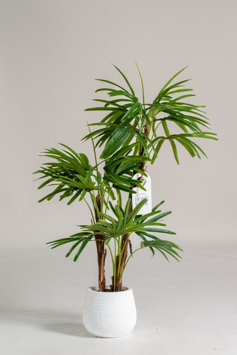Broadleaf Lady Palm Artificial Plant