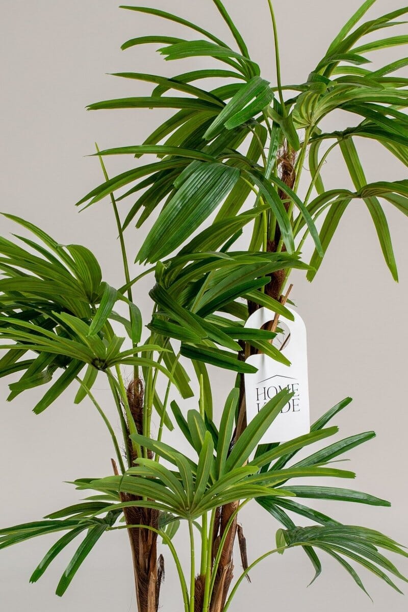 Broadleaf Lady Palmificial Plant (Pot not included) Homekode
