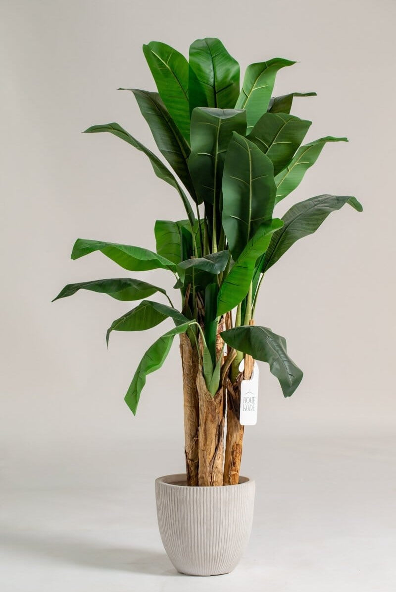 Musa Basjoo Artificial Plant