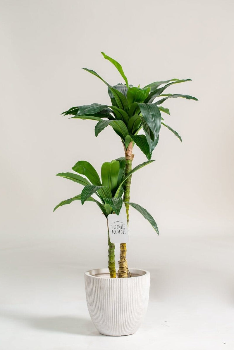 Dracaena Fragrans Artificial Plant
