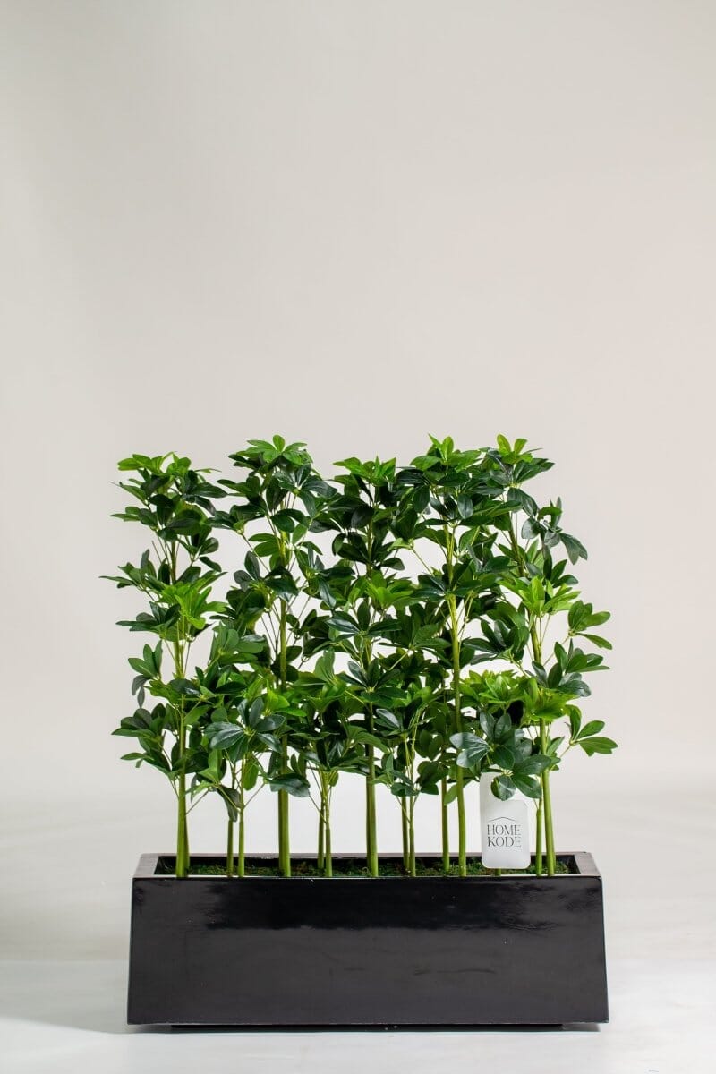 Schefflera Pottedificial Plants (Pot not included) Homekode