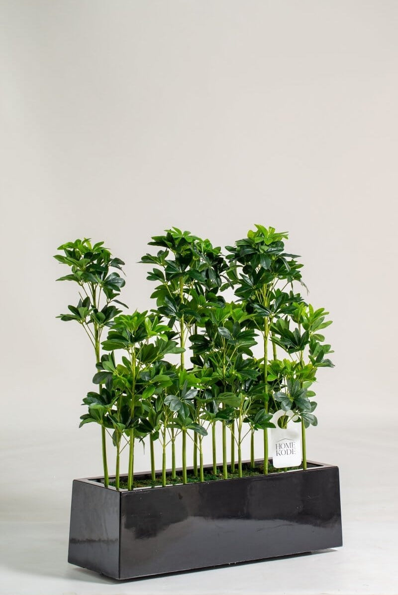 Schefflera Pottedificial Plants (Pot not included) Homekode