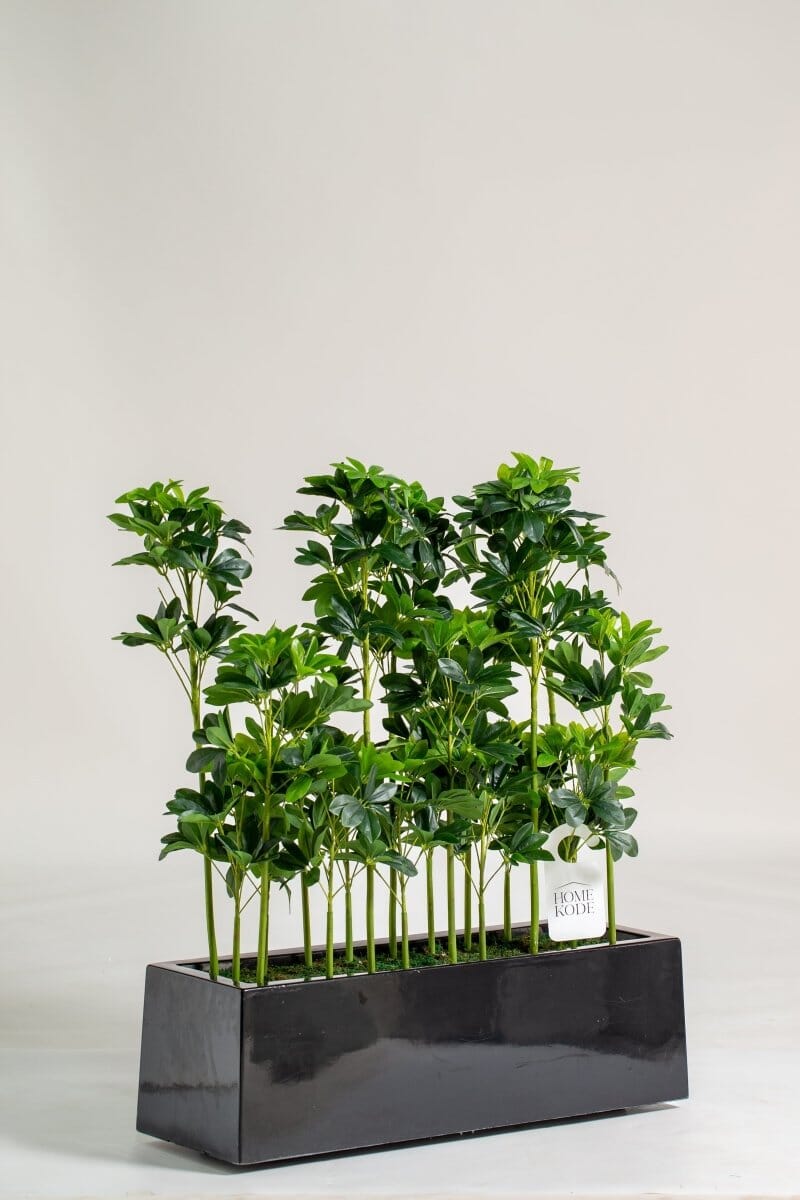 Schefflera Pottedificial Plants (Pot not included) Homekode