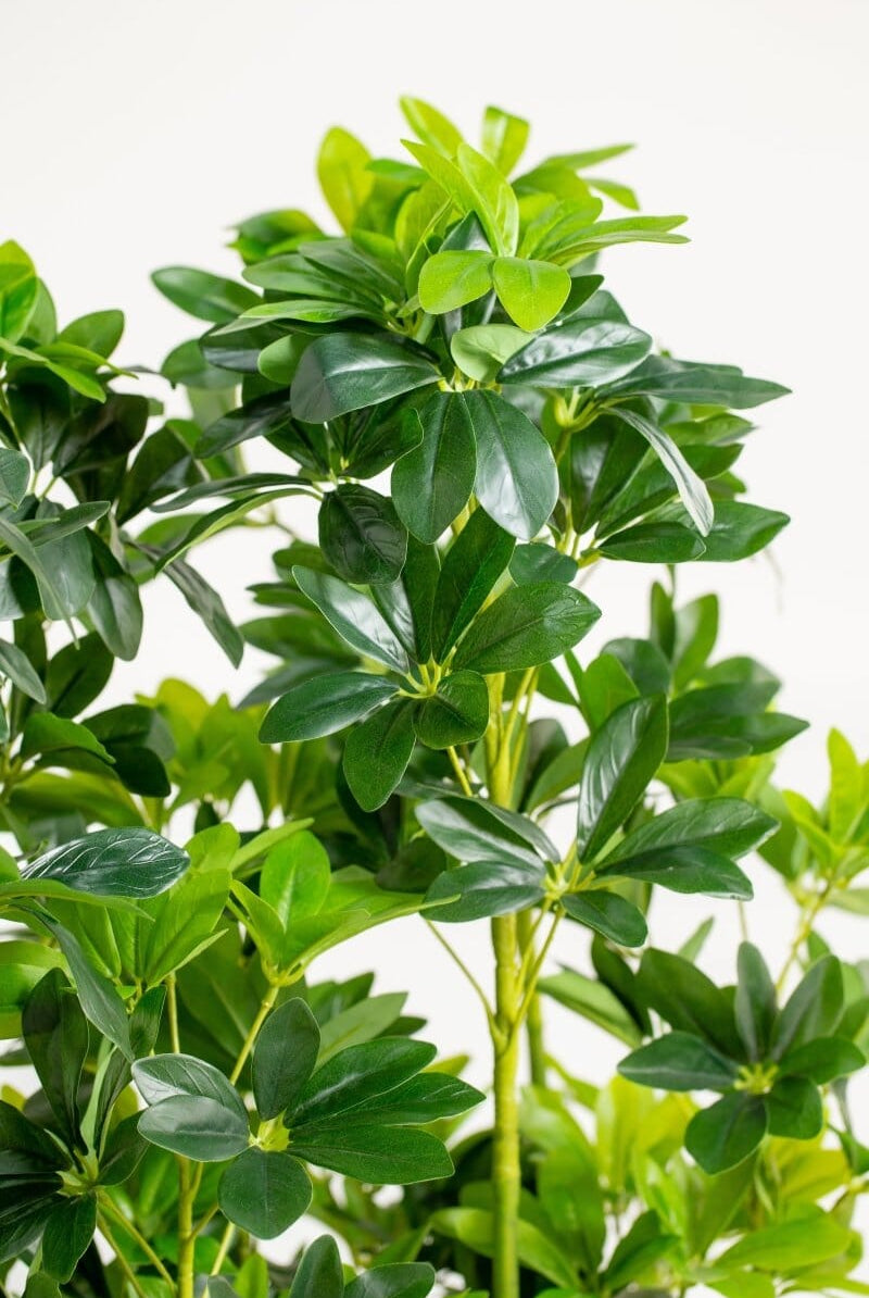 Schefflera Pottedificial Plants (Pot not included) Homekode