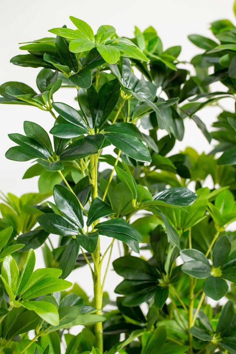 Schefflera Pottedificial Plants (Pot not included) Homekode