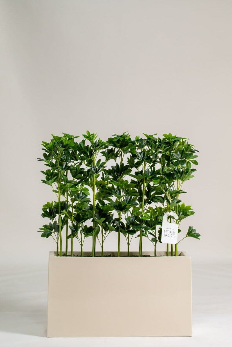 Schefflera Pottedificial Plants (Pot not Included) Homekode