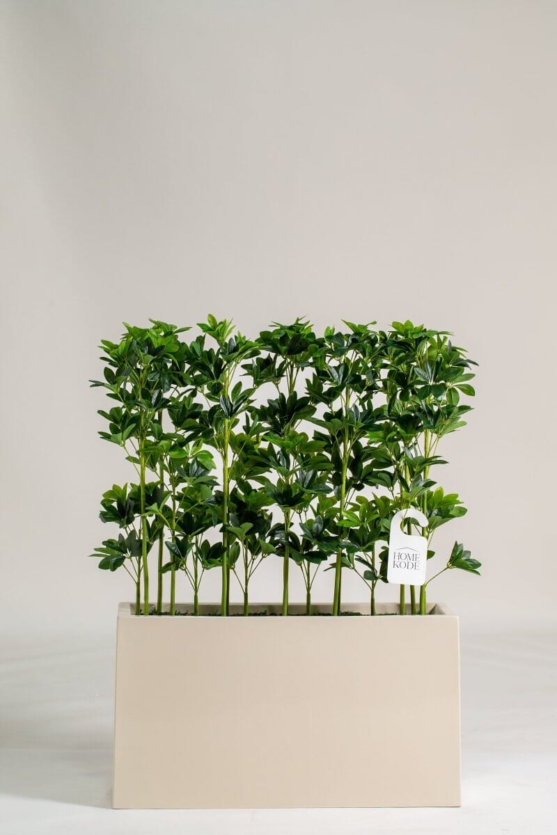 Schefflera Pottedificial Plants (Pot not Included) Homekode