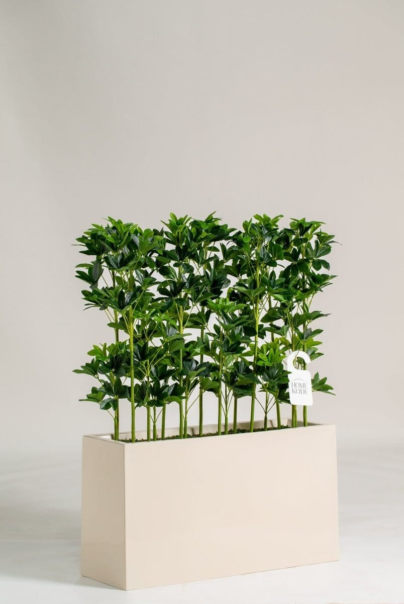 Schefflera Pottedificial Plants (Pot not Included) Homekode