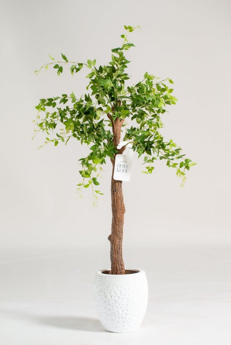 Celtis Australis Artificial Plant