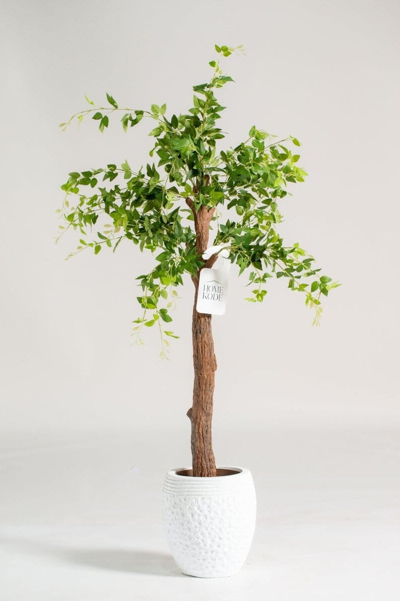 Celtis Australis Artificial Plant