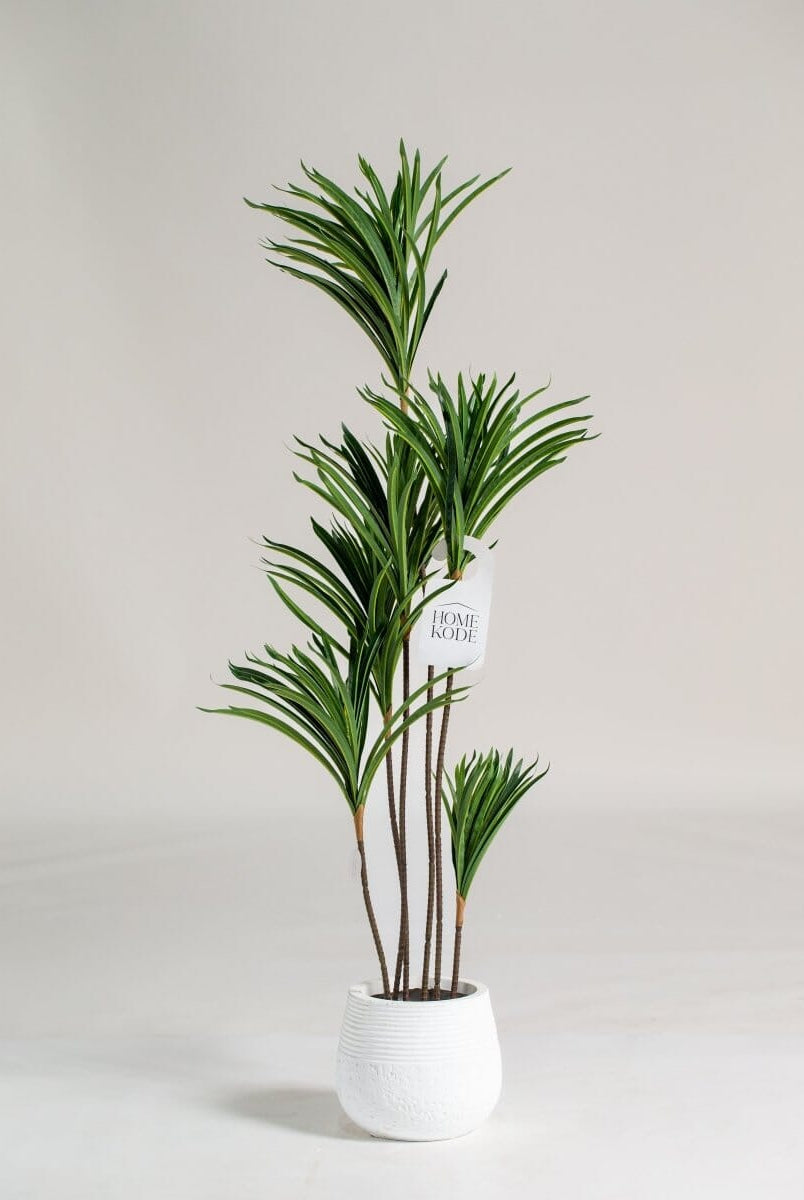 Dracaenaificial Plant (Pot not included) Homekode