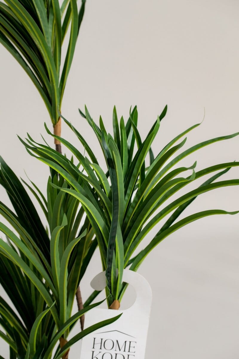 Dracaenaificial Plant (Pot not included) Homekode