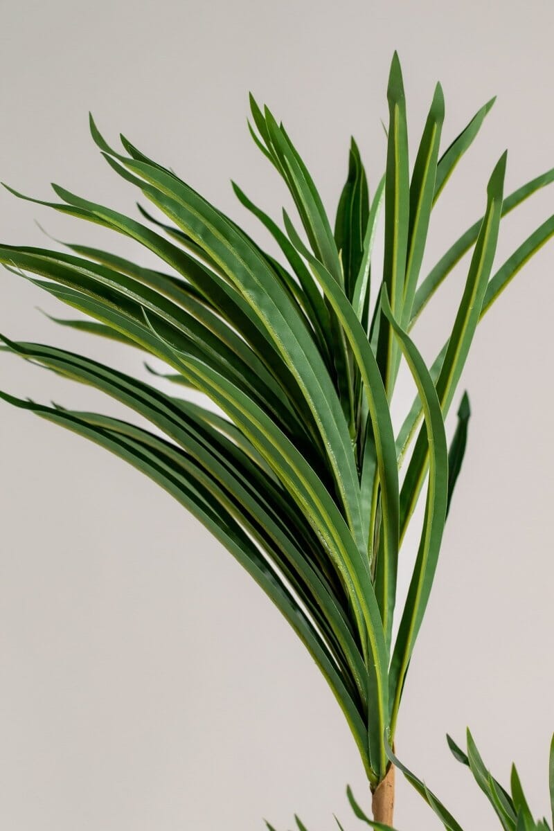 Dracaenaificial Plant (Pot not included) Homekode