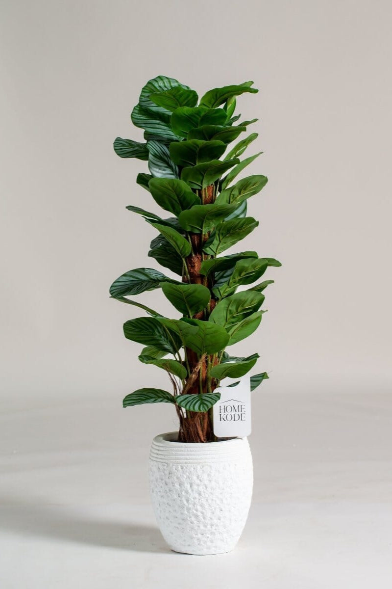 Fiddle-leaf fig Artificial Plant