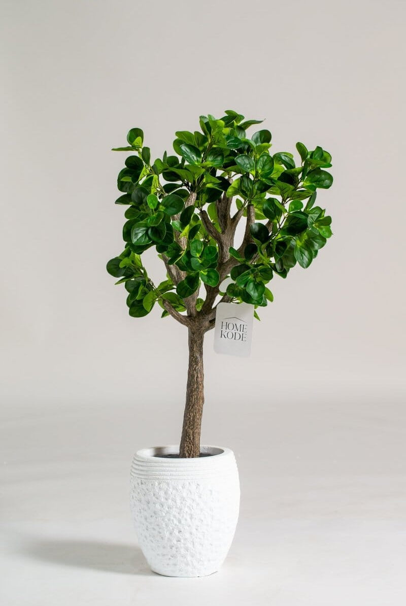 Baby Rubber Artificial Plant