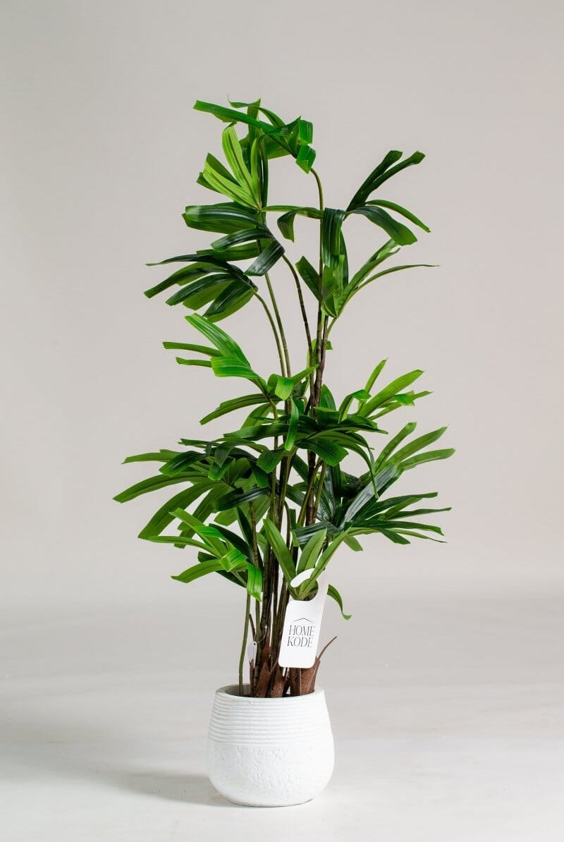 Broadleaf lady palm Artificial Plant
