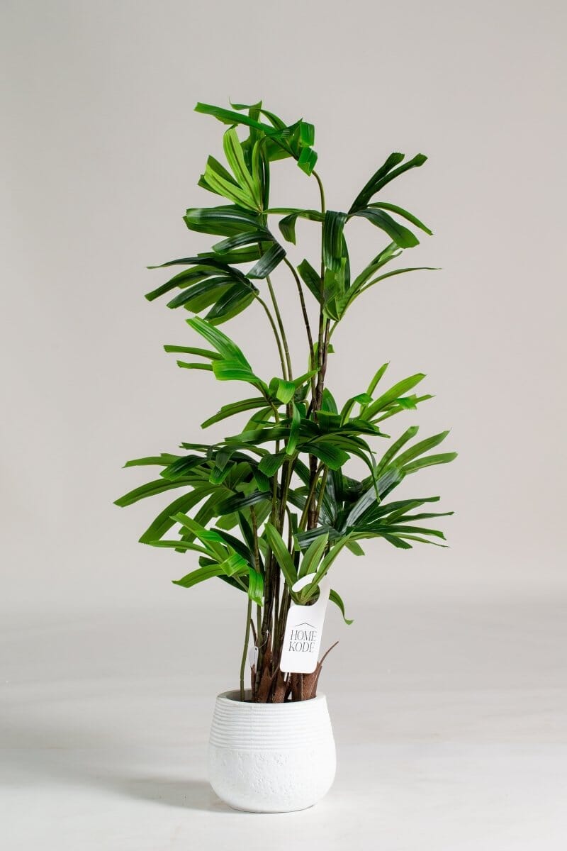 Broadleaf lady palm Artificial Plant