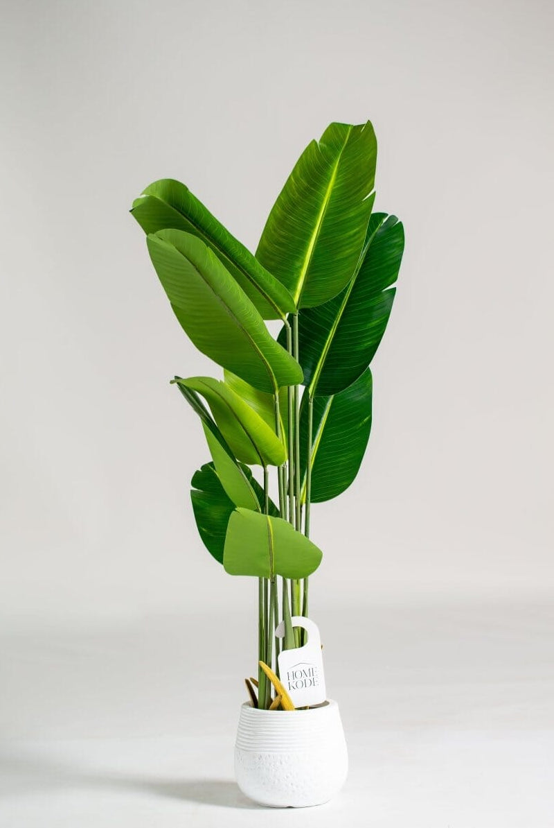 Strelitzia Nicolai Artificial Plant