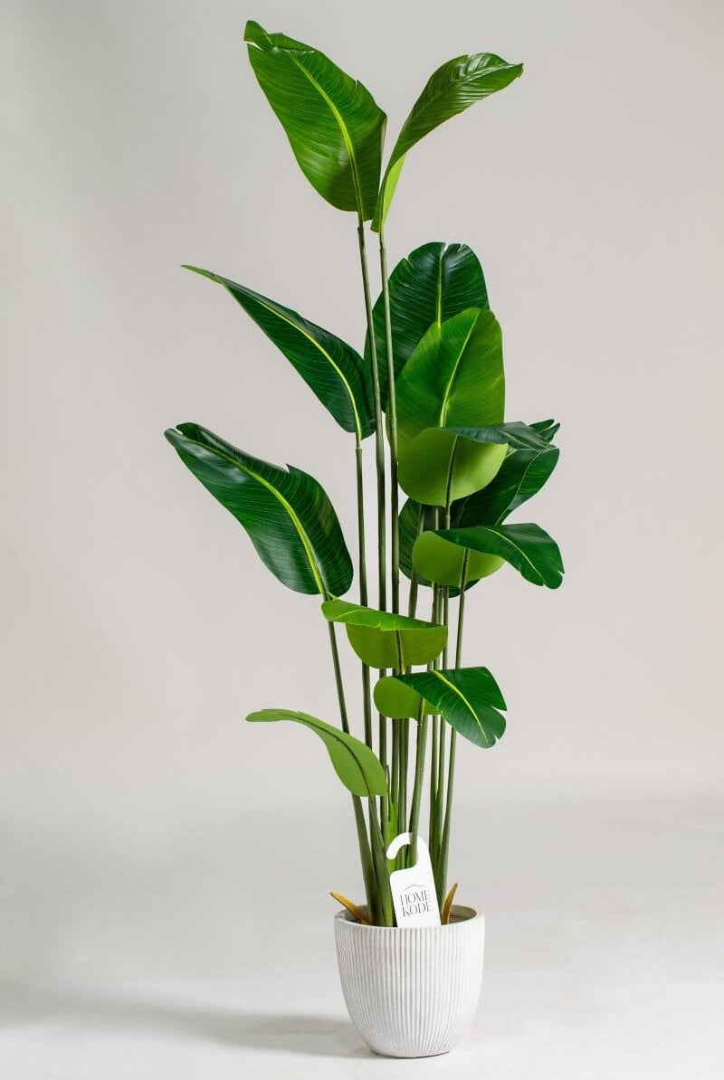 Strelitzia Reginae Artificial Plant