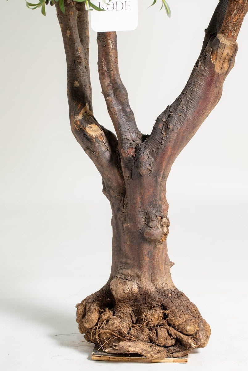 Original olive trunk withificial olive leaves (3 Sizes) Homekode
