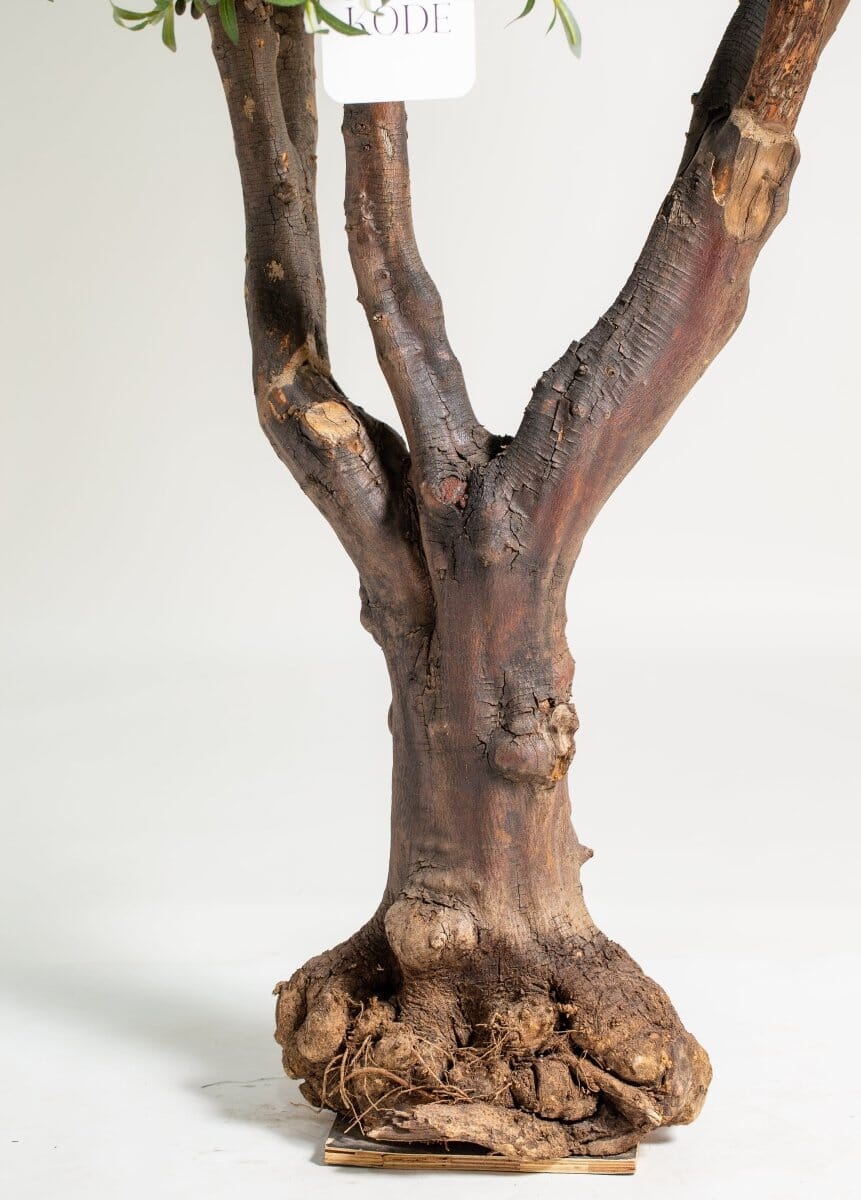Original olive trunk withificial olive leaves (3 Sizes) Homekode