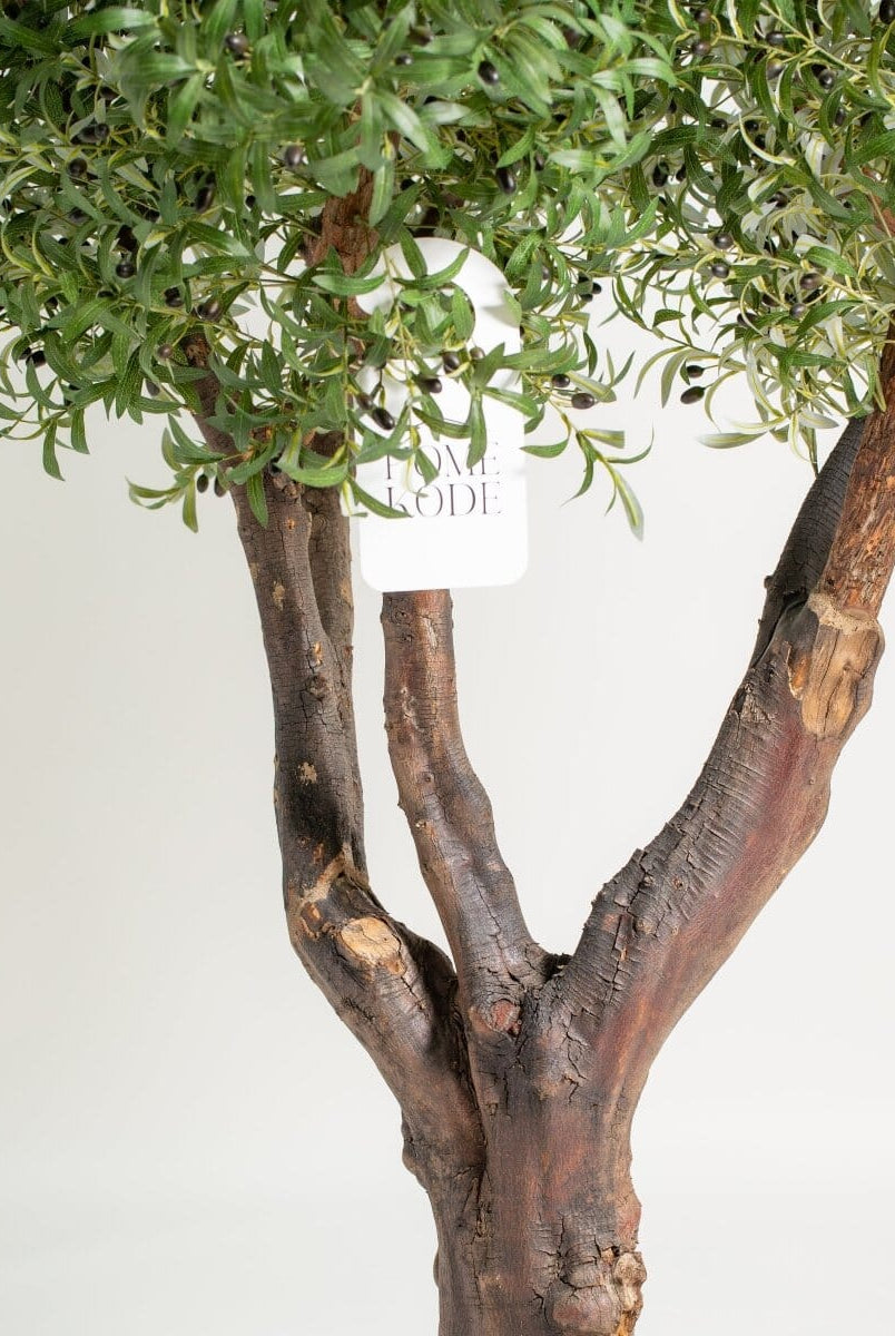 Original olive trunk withificial olive leaves (3 Sizes) Homekode