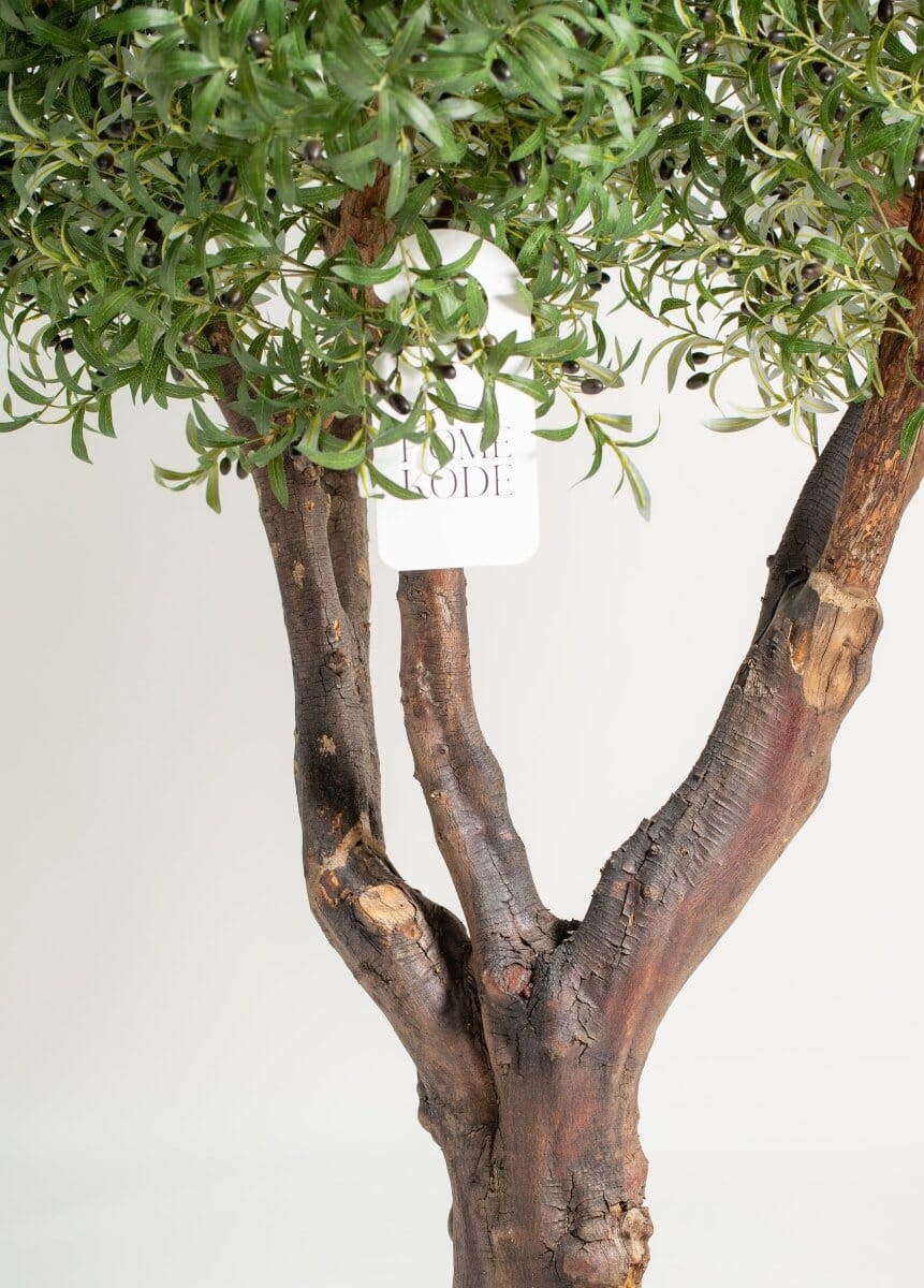 Original olive trunk withificial olive leaves (3 Sizes) Homekode
