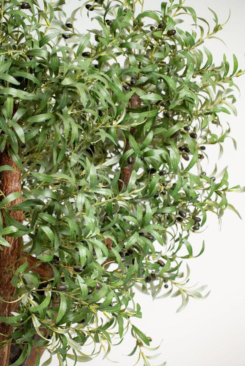 Original olive trunk withificial olive leaves (3 Sizes) Homekode
