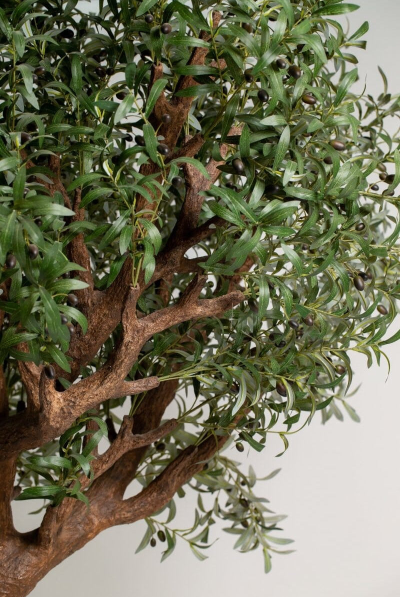 ificial Olive Tree with Curving Trunk (3 Meter Height) Homekode