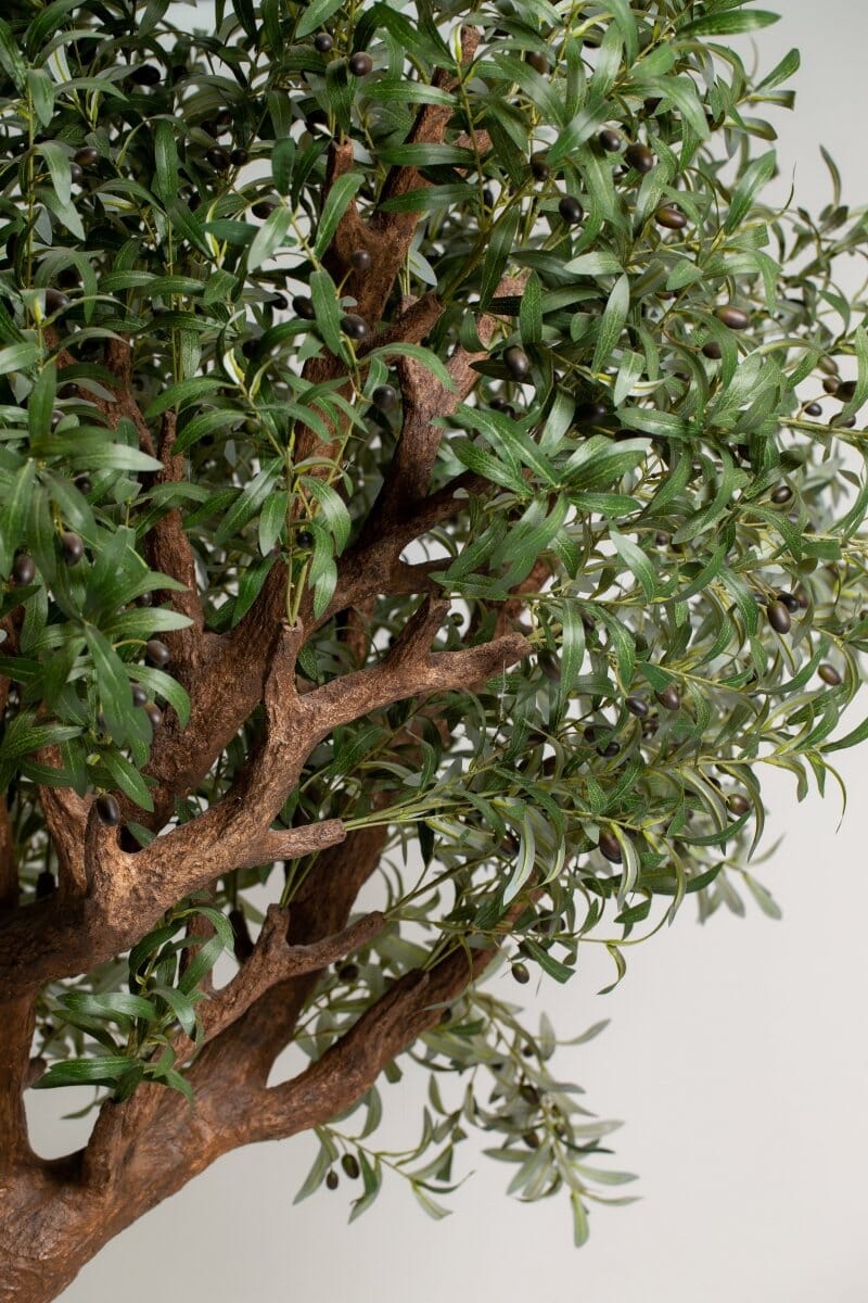 ificial Olive Tree with Curving Trunk (3 Meter Height) Homekode