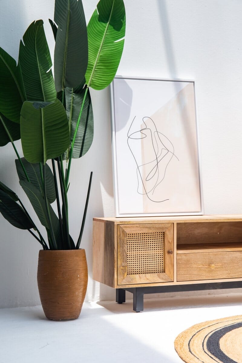 Alan Rattan Doors TV Unit Homekode