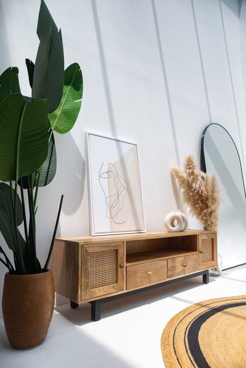 Alan Rattan Doors Media Unit