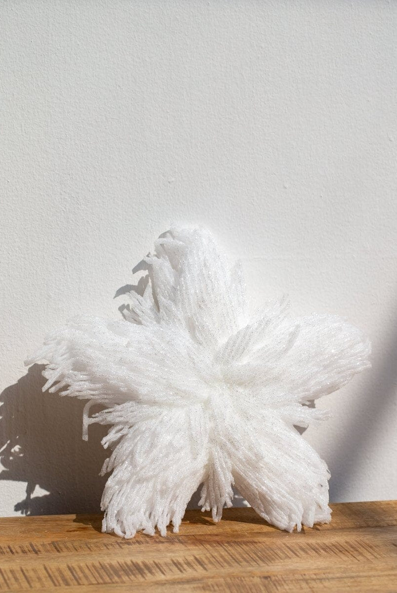 Christmas White Star Decor Homekode