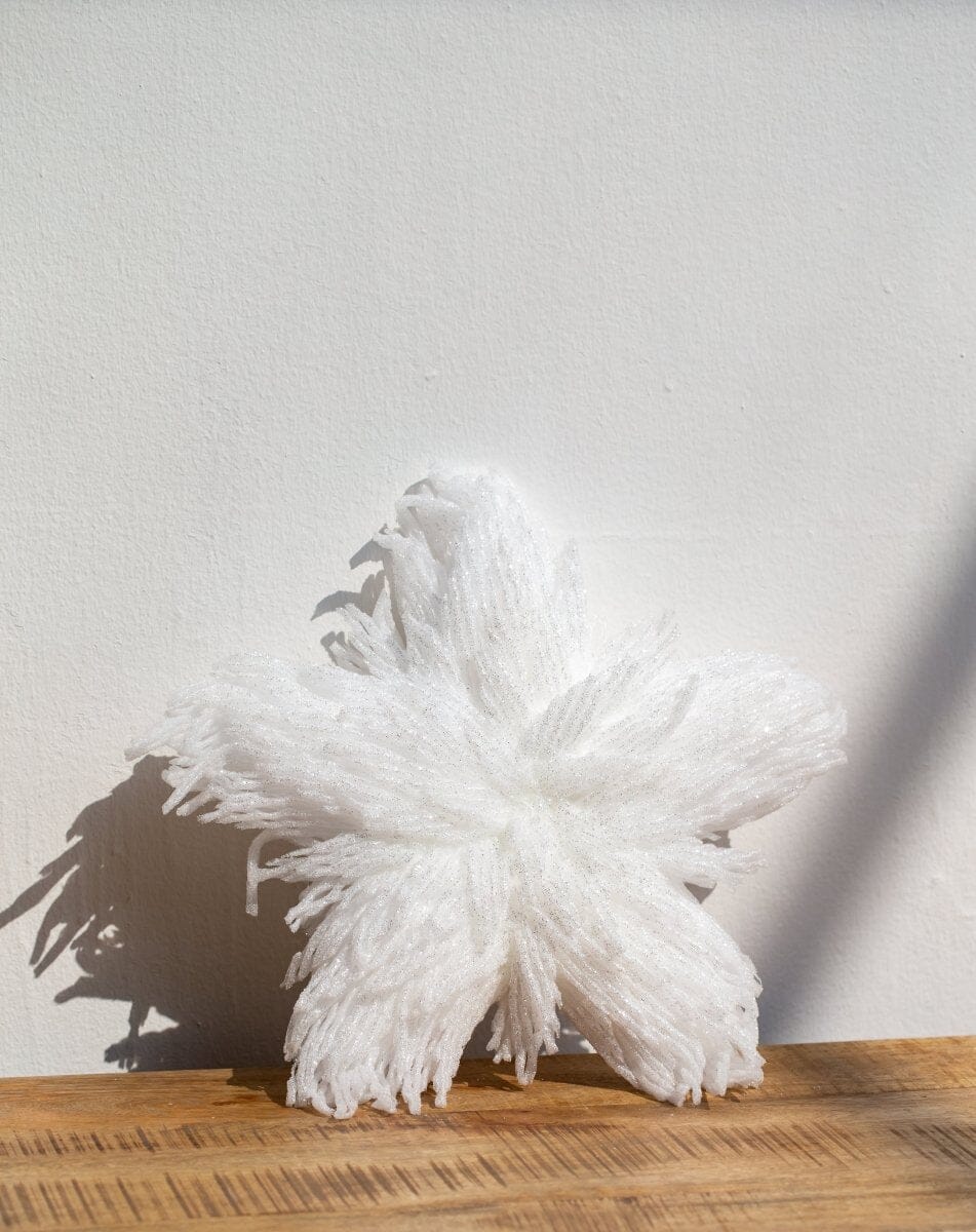 Christmas White Star Decor Homekode