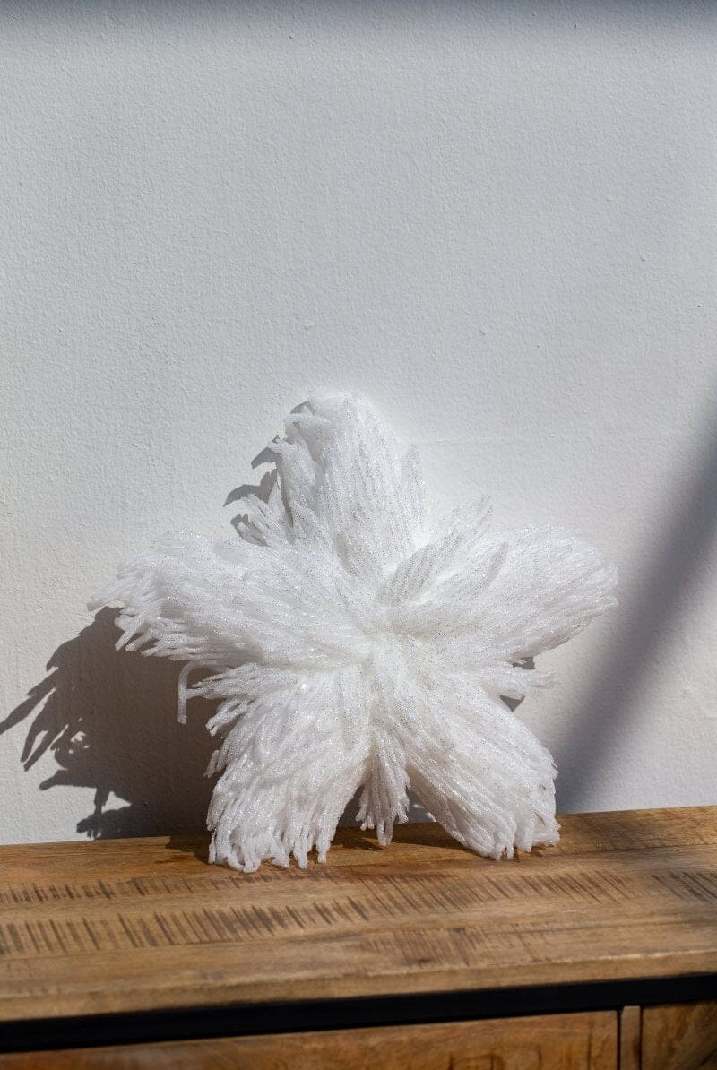 Christmas White Star Decor Homekode