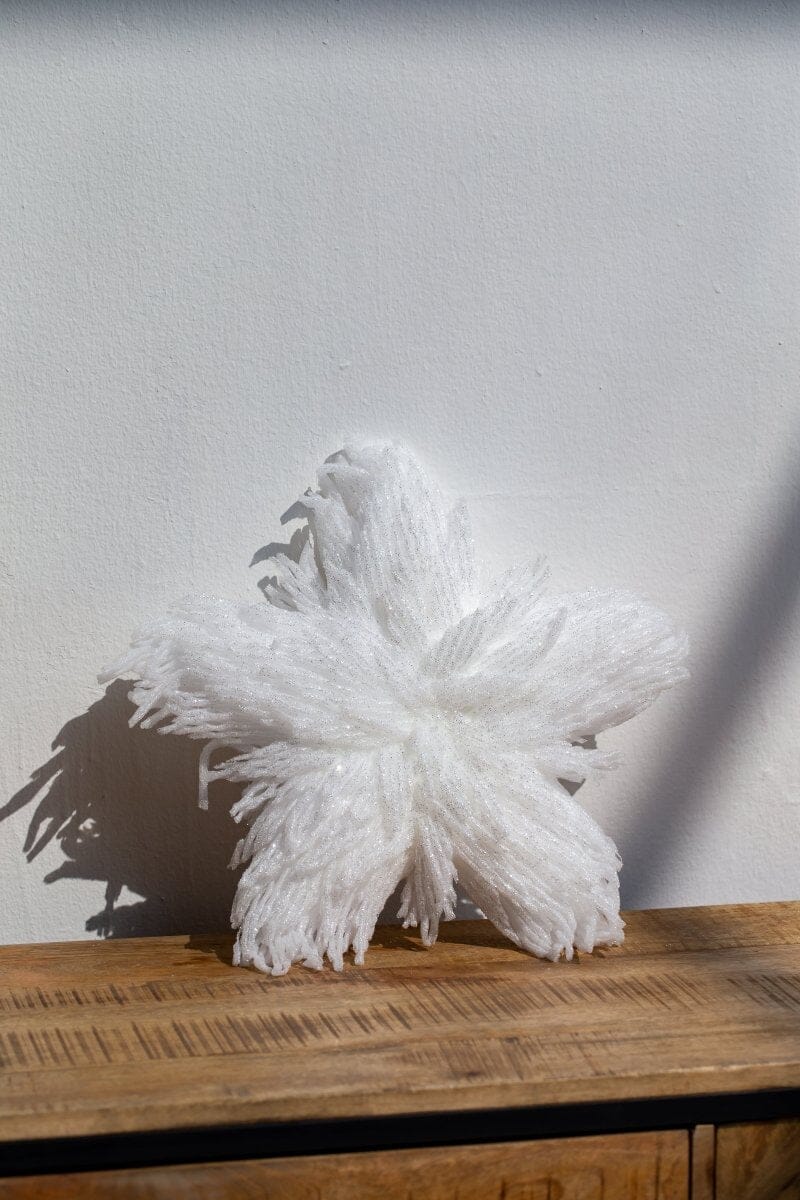 Christmas White Star Decor Homekode