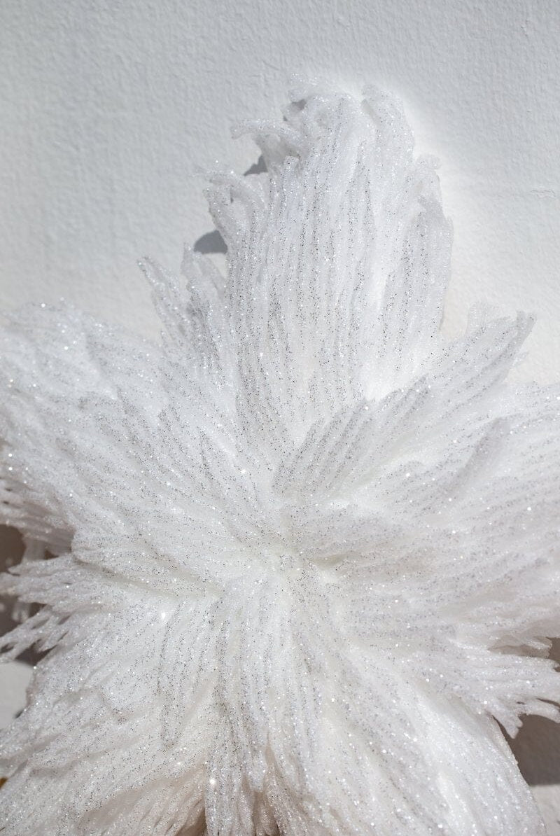 Christmas White Star Decor Homekode