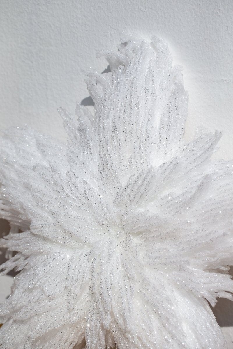 Christmas White Star Decor Homekode