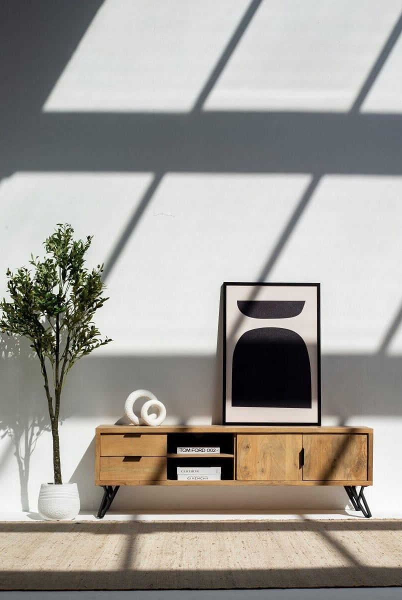 Astor Wooden Media Unit with 2-Shelves