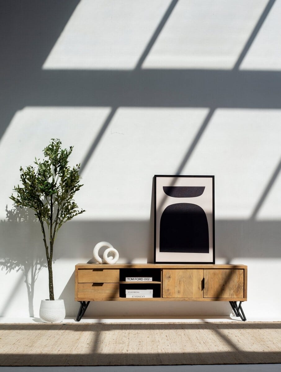 Astor Wooden Media Unit with 2-Shelves