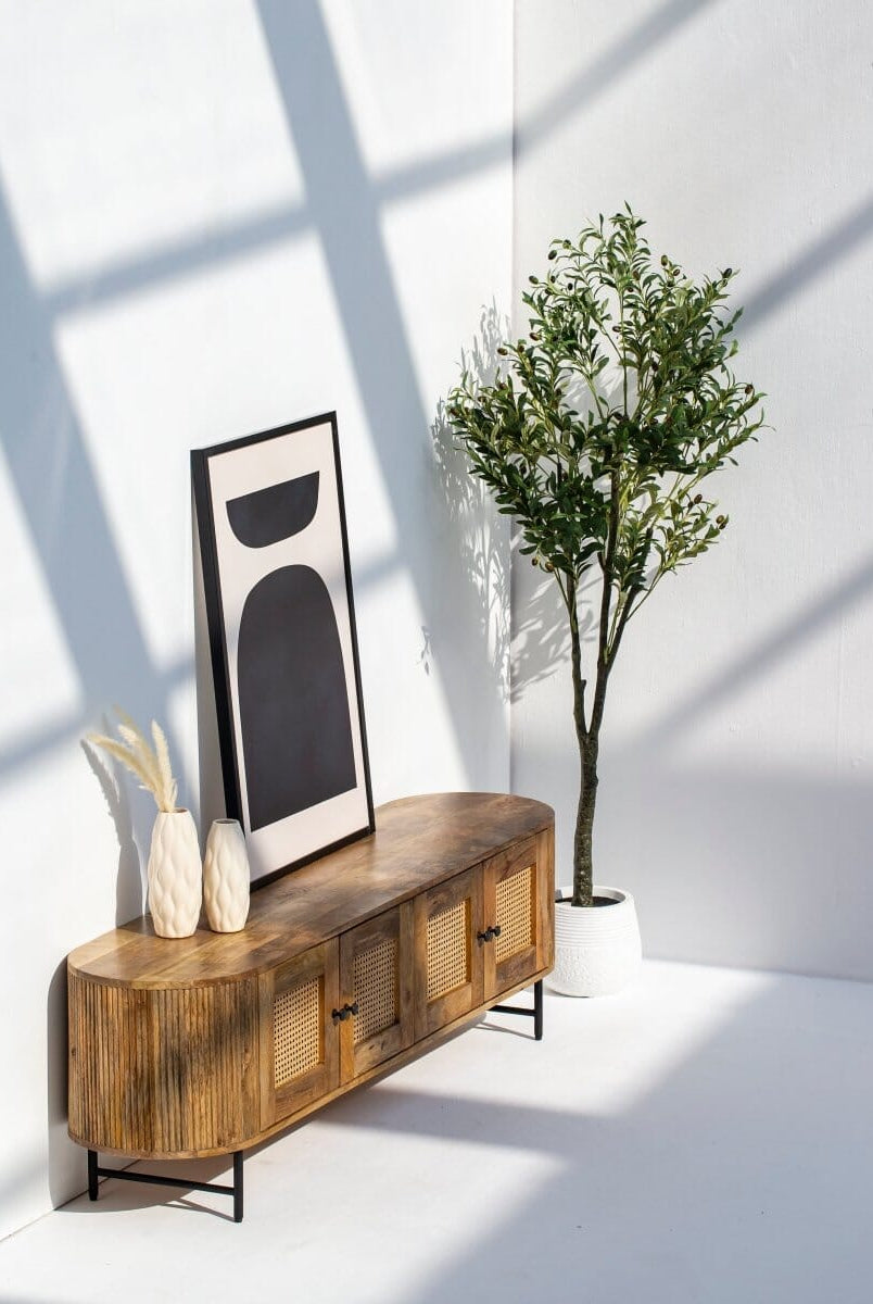 Valletta Rattan Doors TV Unit TV Unit Homekode