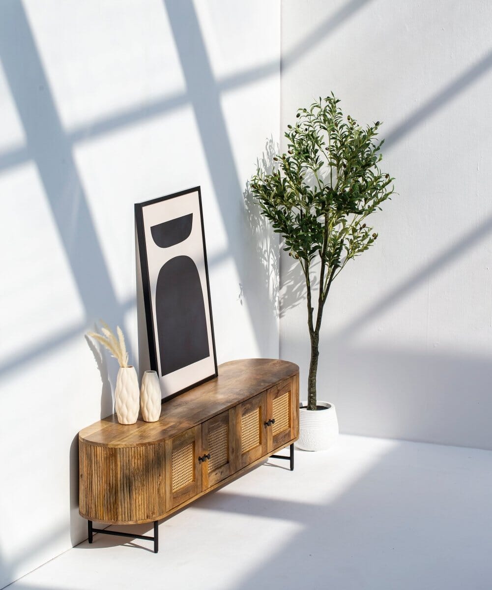 Valletta Rattan Doors TV Unit TV Unit Homekode