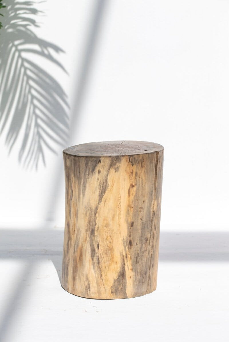 Tree Stump Side Table