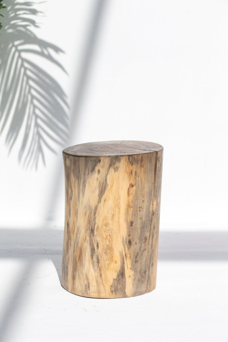 Tree Stump Side Table