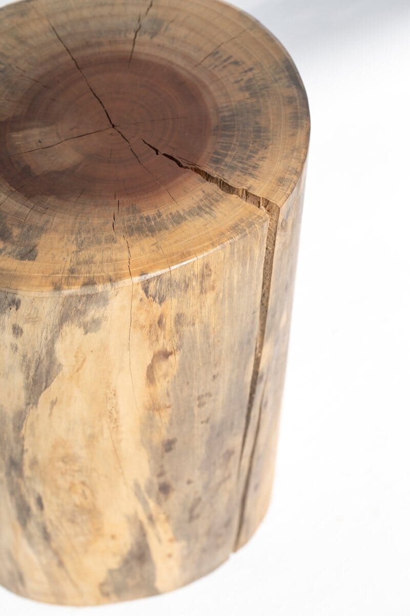 Tree Stump Side Table Homekode