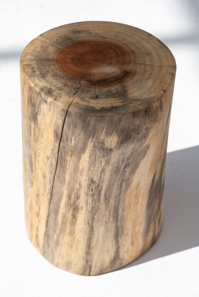 Tree Stump Side Table Homekode