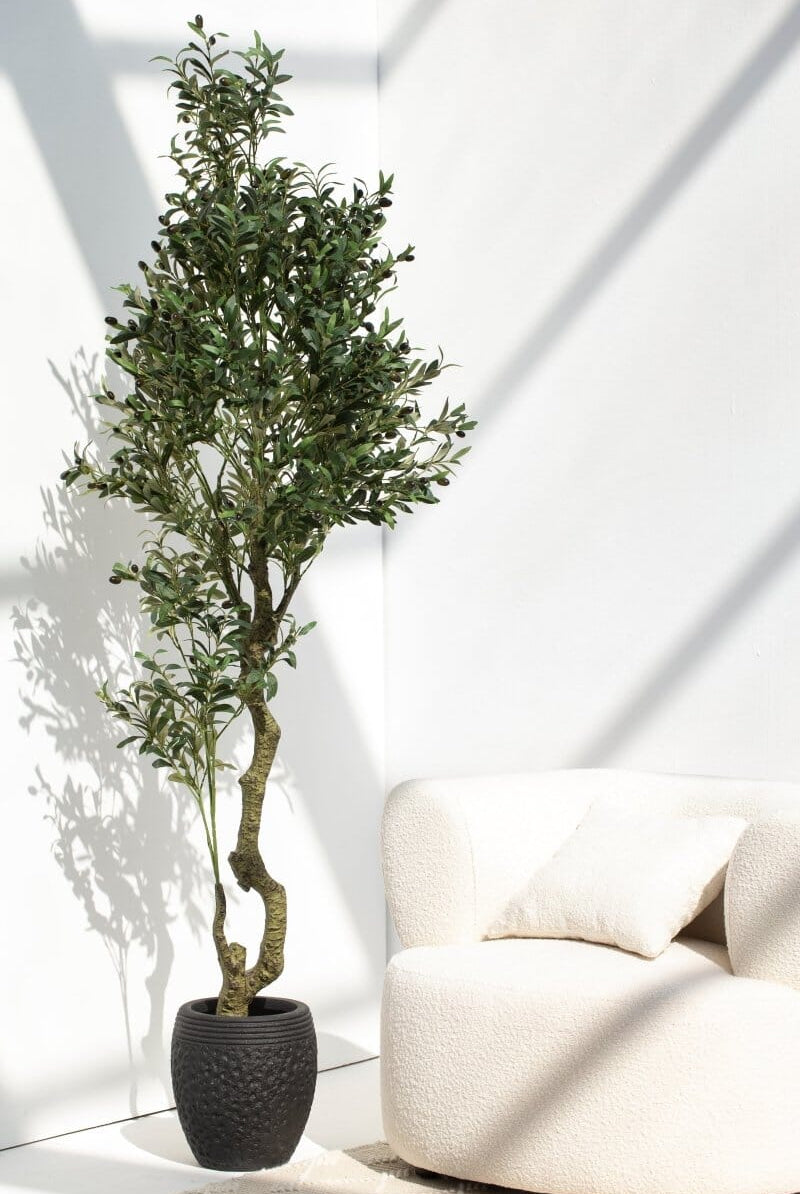 Olive Tree with olivesificial Plant (Pot not included)