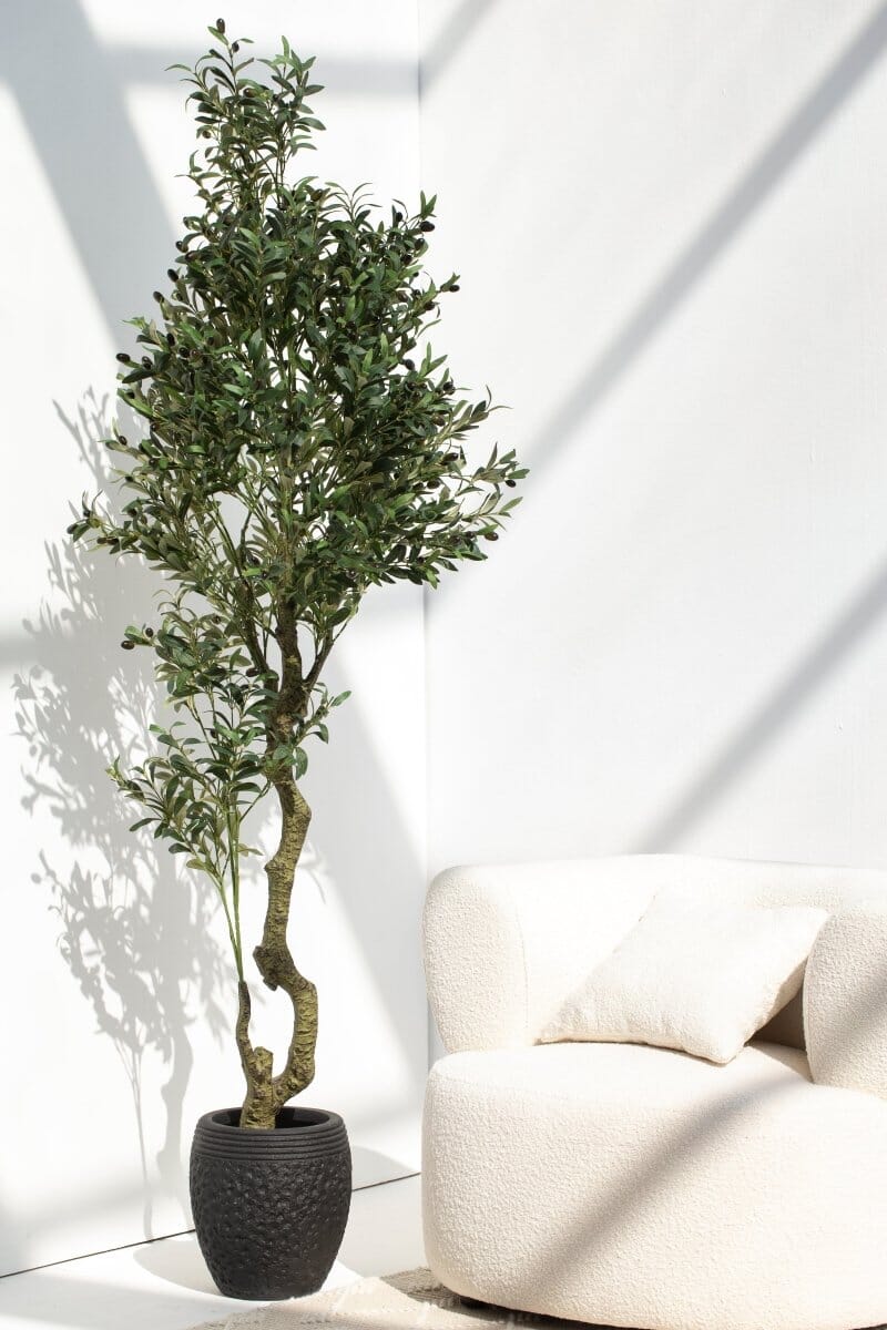 Olive Tree with olivesificial Plant (Pot not included)